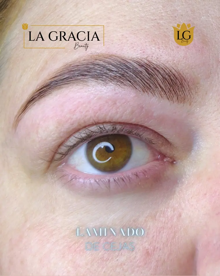 Ceja laminada en un trabajo de La Gracia Beauty